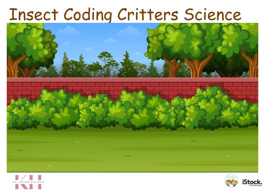 Mystery Insect Coding Critter Mat