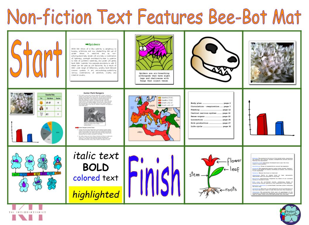 Non-Fiction Bee-Bot Mat