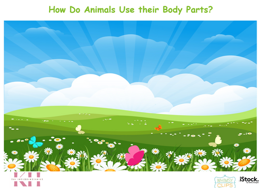 How Do Animals Use Their Body Parts? Theme Coding Mat