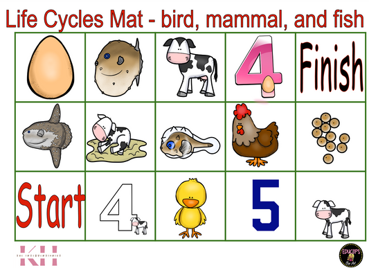 Life Cycles Mat - bird, mammal, and fish