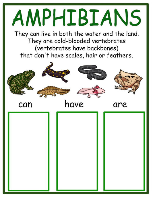 Amphibians Workable Chart