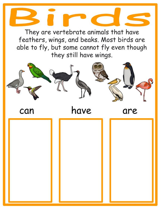Birds Workable Chart