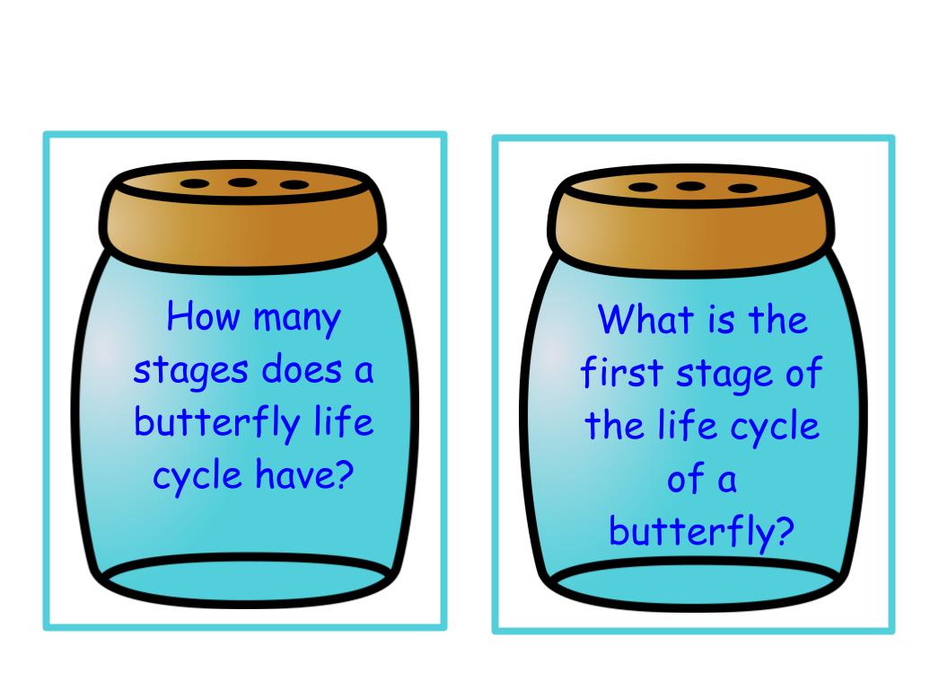 Life Cycle of a Butterfly Bee-Bot Mat