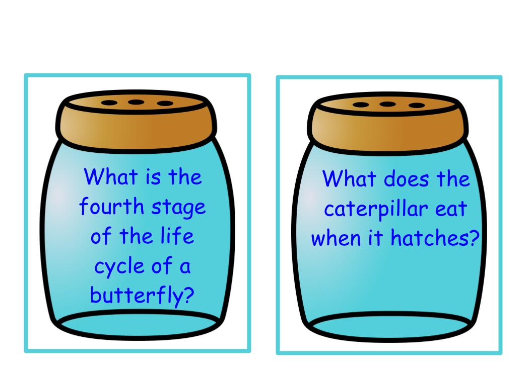 Life Cycle of a Butterfly Bee-Bot Mat