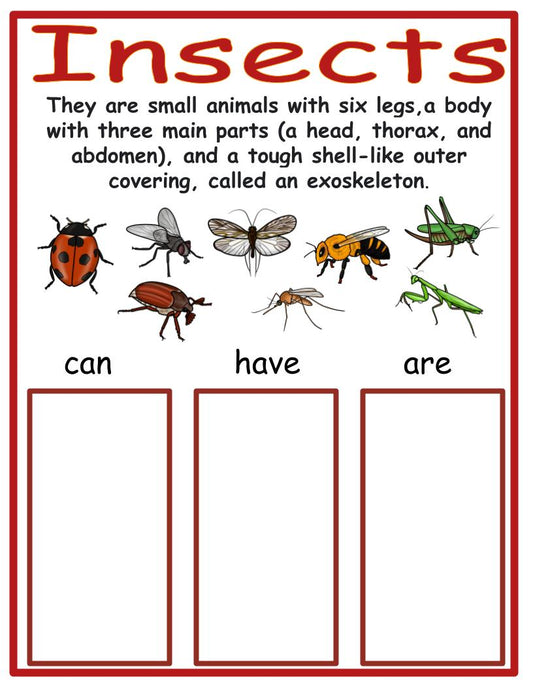 Insects Workable Chart