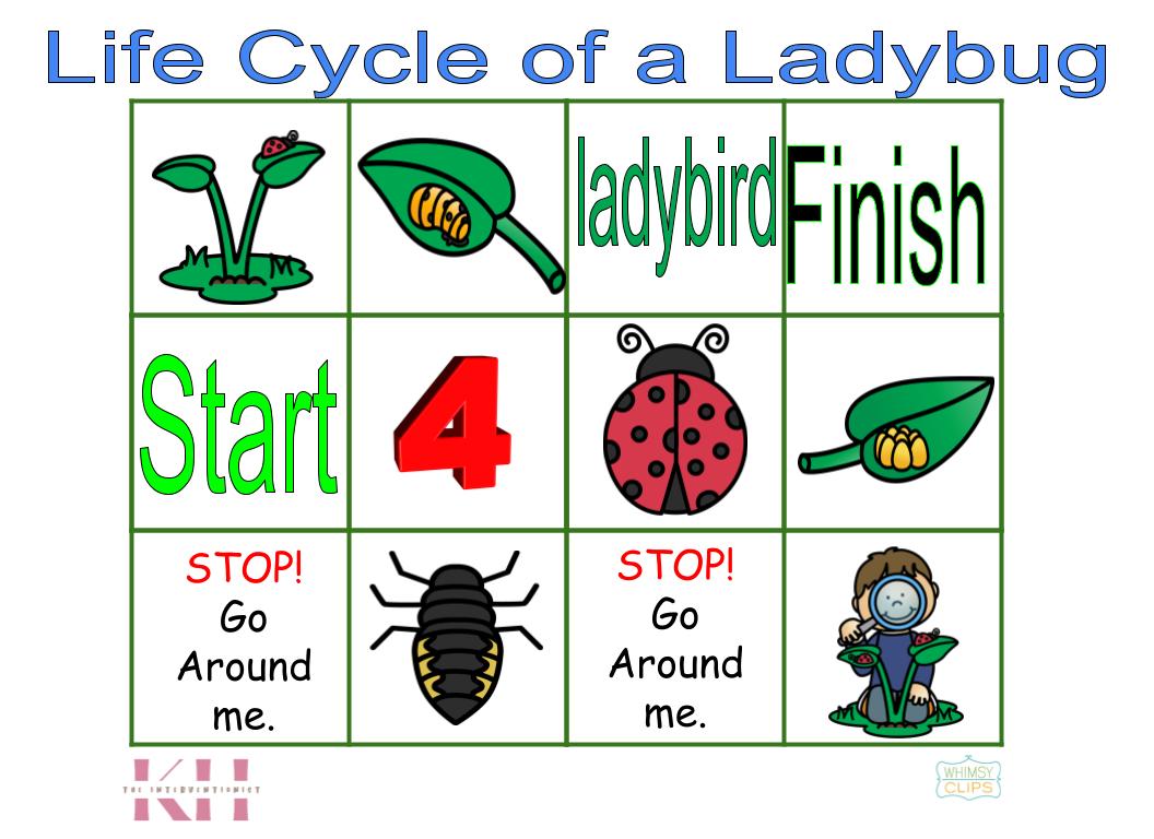 Life Cycle of a Ladybug Bee-Bot Mat