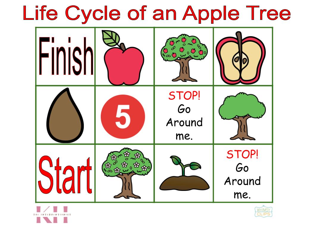 Life Cycle of an Apple Tree Bee-Bot Mat