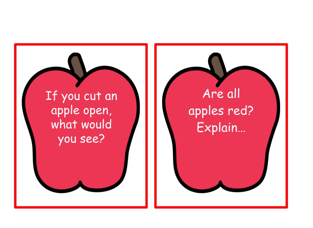 Life Cycle of an Apple Tree Bee-Bot Mat