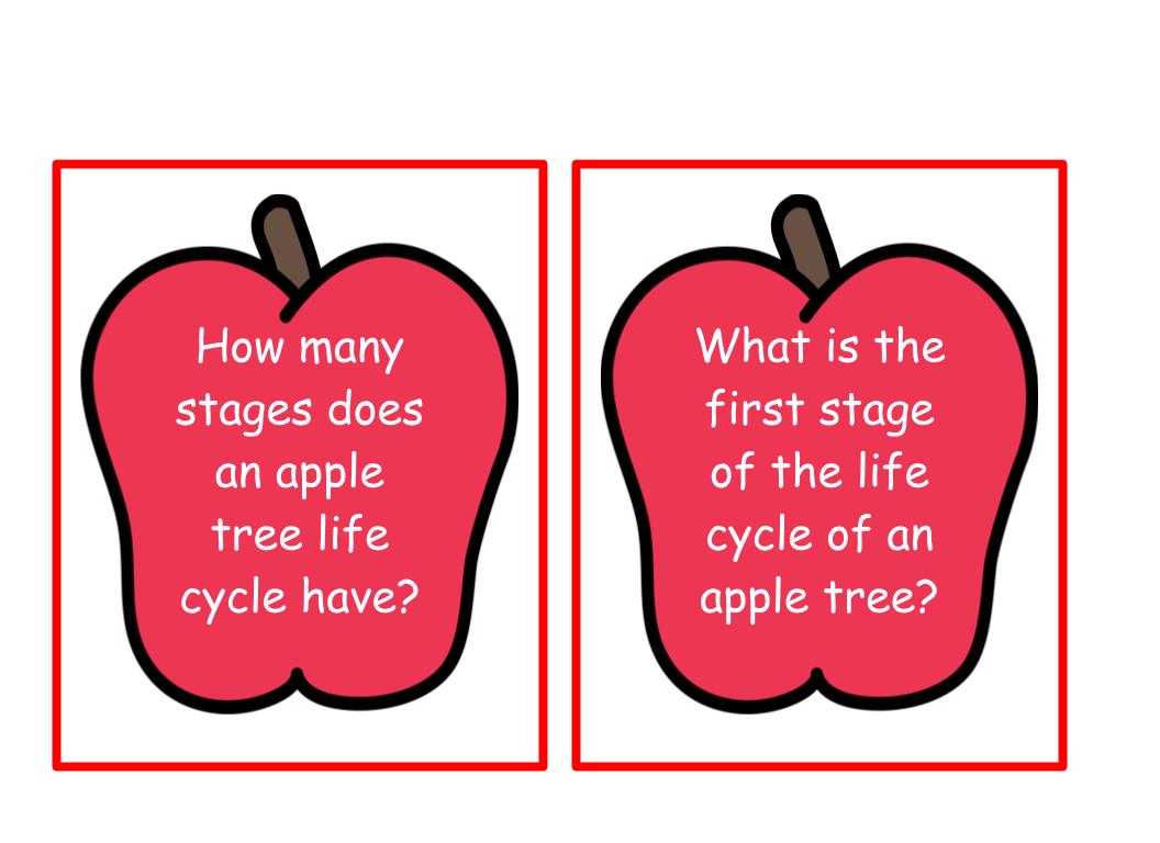 Life Cycle of an Apple Tree Bee-Bot Mat