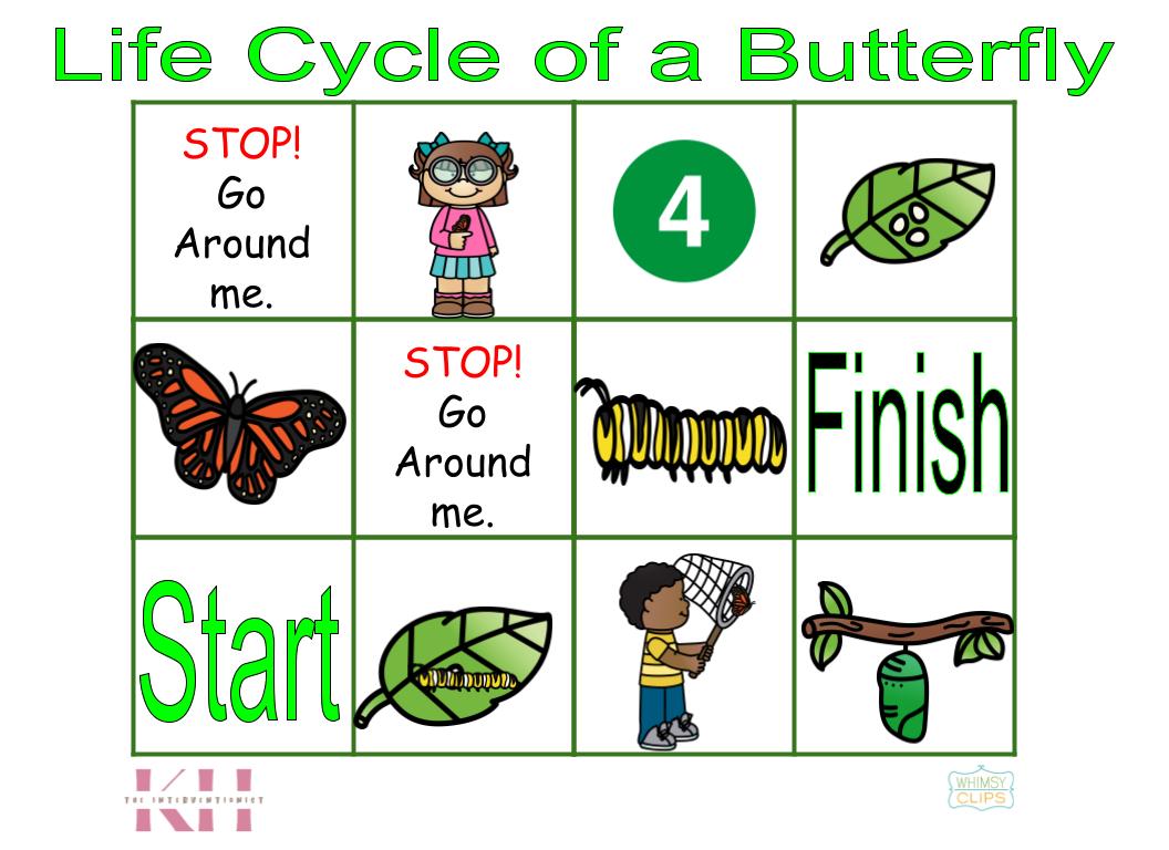 Life Cycle of a Butterfly Bee-Bot Mat