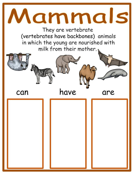 Mammals Workable Chart